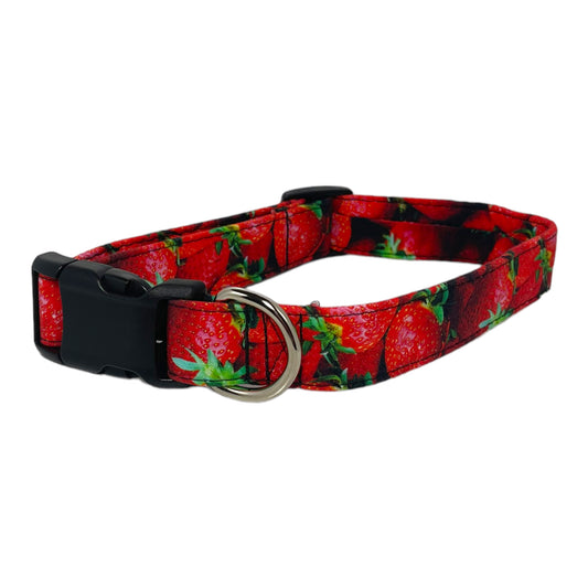 "Strawberry Patch" - Dog Collar